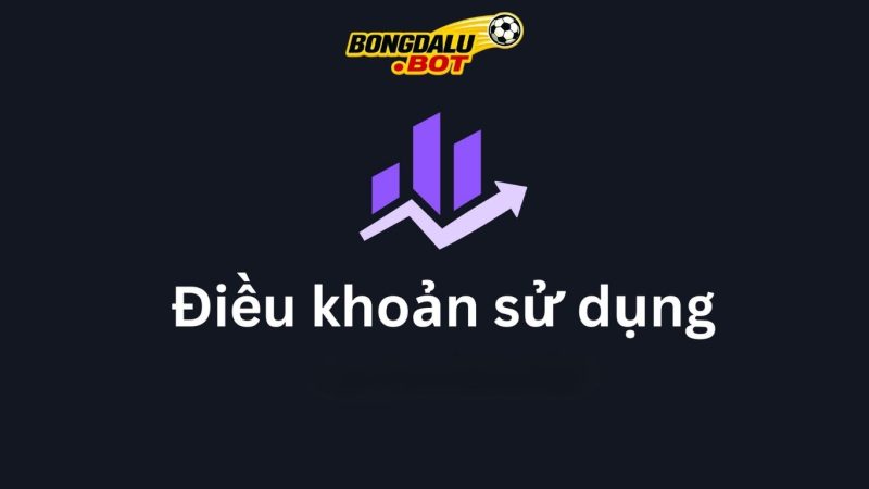 Điều Khoản Sử Dụng Dịch Vụ Tại Bongdalu.Bot | Cập Nhật Mới