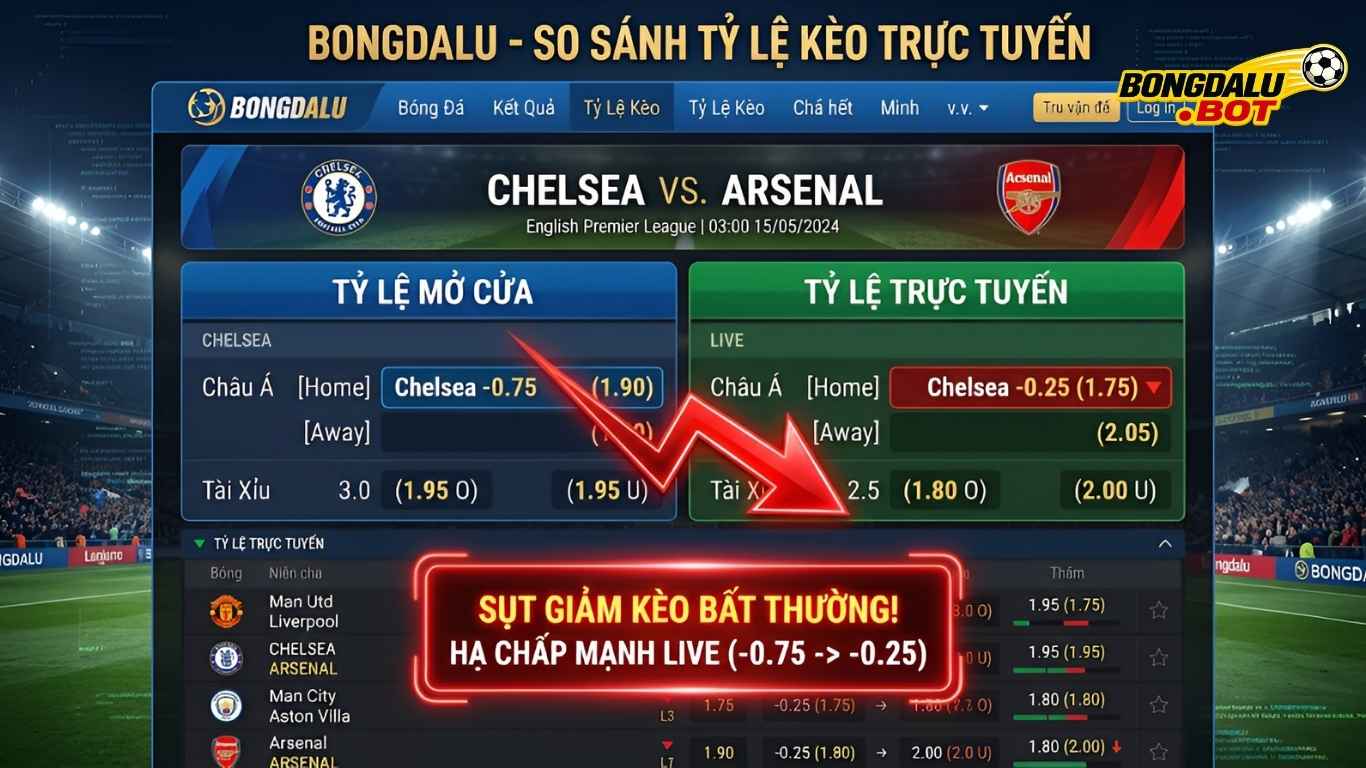 Đọc Vị Kèo Macao: Cách Né Kèo Dụ Trên Bongdalu Chuẩn Xác #1