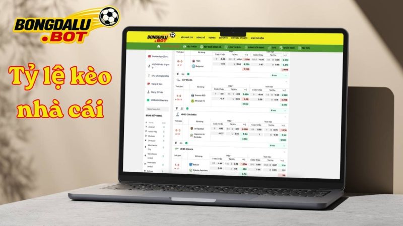 Bảng Tỷ Lệ Kèo Bongdalu: Nhanh, Chuẩn, Không Độ Trễ